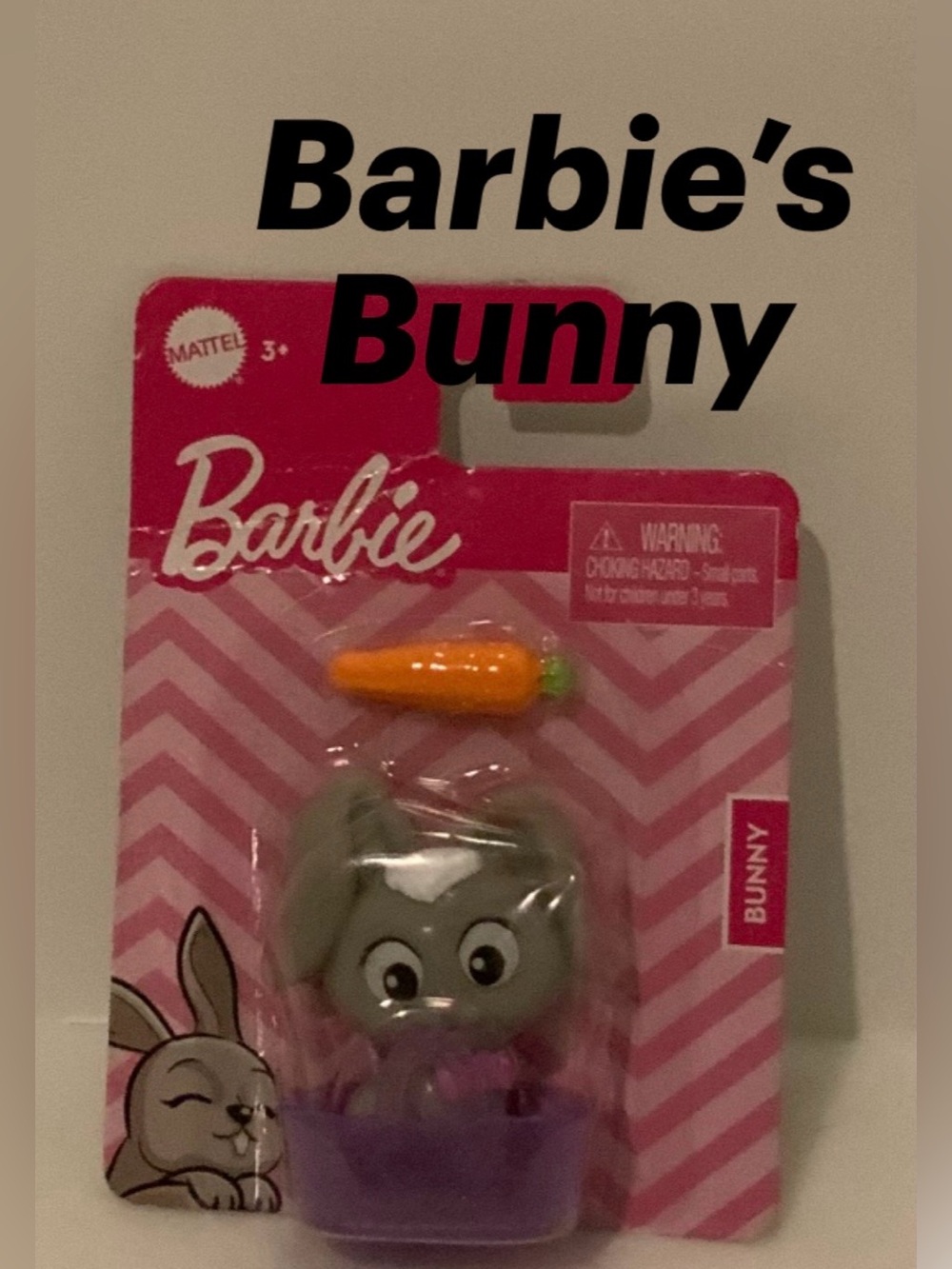 Barbie’s Pet Bunny